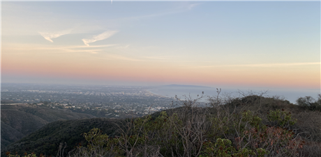 Banner Picture